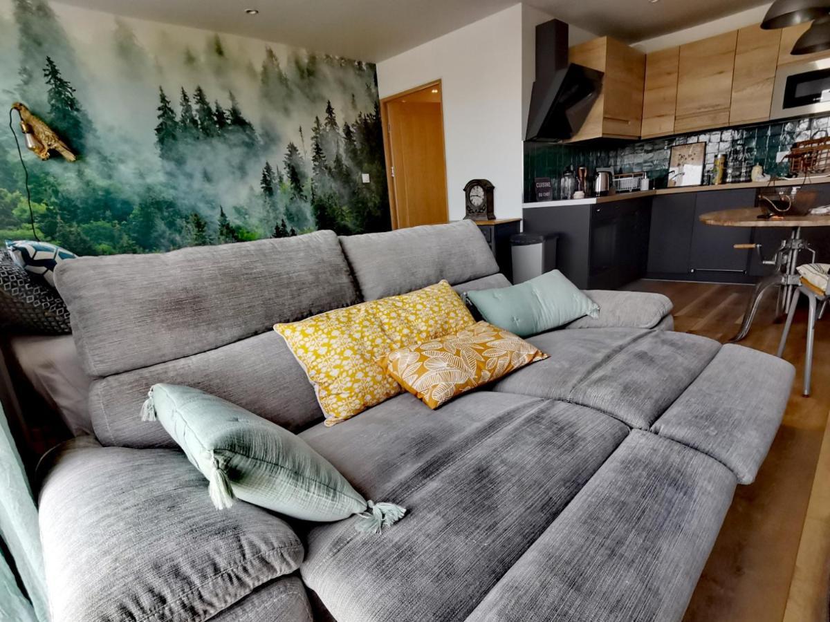 Nancy Centre Tranquil Apartment: Thermal Springs & Campus Proximity Exterior photo